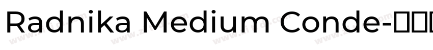 Radnika Medium Conde字体转换